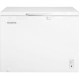 Gefriertruhe Heinner HCF-M293INVCE – 293 Liter – konvertierbar – Inverter – Energieeffizienzklasse E – Produktfoto