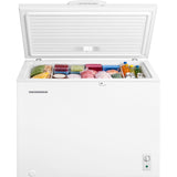 Gefriertruhe Heinner HCF-M293INVCE – 293 Liter – konvertierbar – Inverter – Energieeffizienzklasse E – Bild 3