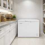 Gefriertruhe Heinner HCF-M293INVCE – 293 Liter – konvertierbar – Inverter – Energieeffizienzklasse E – Bild 6