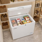 Heinner Gefriertruhe HCF-HM246INVCD – 246 Liter – umwandelbar – Energieeffizienzklasse D – Bild 9